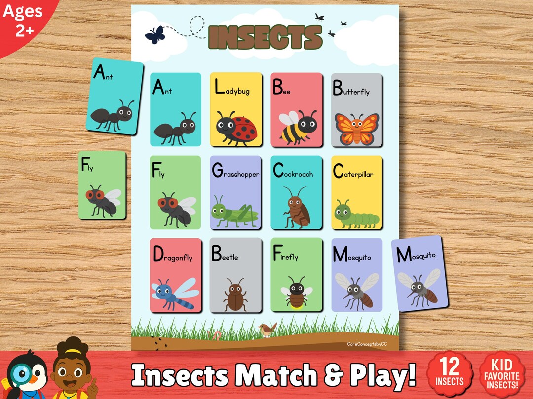 Insects Matching Game | Printable Flashcards + Poster Set - Etsy UK