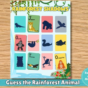 Könnte beinhalten: Ein Rainforest Shadows Lernblatt mit einem Raster aus zwölf rechteckigen Karten. Jede Karte zeigt entweder eine farbige Illustration eines Regenwaldtieres oder dessen dunkle Silhouette, mit Beschriftungen wie Jaguar, Gorilla, Toucan und Orangutan.