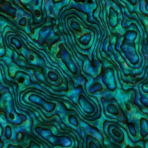 Op de afbeelding: Abstracte close-up van een abalone schelp. Het iriserende oppervlak toont een wervelend patroon van blauw, groen en donkere accenten. De natuurlijke textuur en kleurvariaties creëren een uniek, organisch ontwerp.