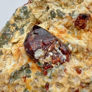 May include: Close-up of a mineral specimen featuring a large, dark red crystal with a faceted surface. The crystal is embedded in a matrix of beige and green minerals. Small, reddish-brown crystals are scattered throughout the matrix.