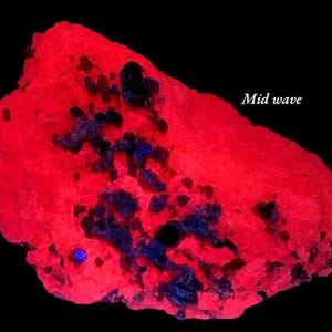 Puede incluir: Un espécimen mineral rojo brillante con inclusiones azul oscuro y negro sobre un fondo negro. El texto "Mid wave" es visible. El mineral tiene una superficie rugosa y texturizada. Muestra geológica.