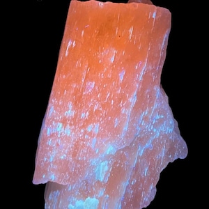 Puede incluir: Un espécimen mineral naranja brillante con una superficie rugosa y texturizada. Muestra áreas de fluorescencia azul y blanca. El texto "Long wave" está en la esquina superior izquierda. Fondo negro.