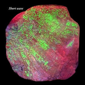 22 Gram Gorgeous Natural Rare Fluorescent Scapolite With Hyalite Specimen _ Afghanistan