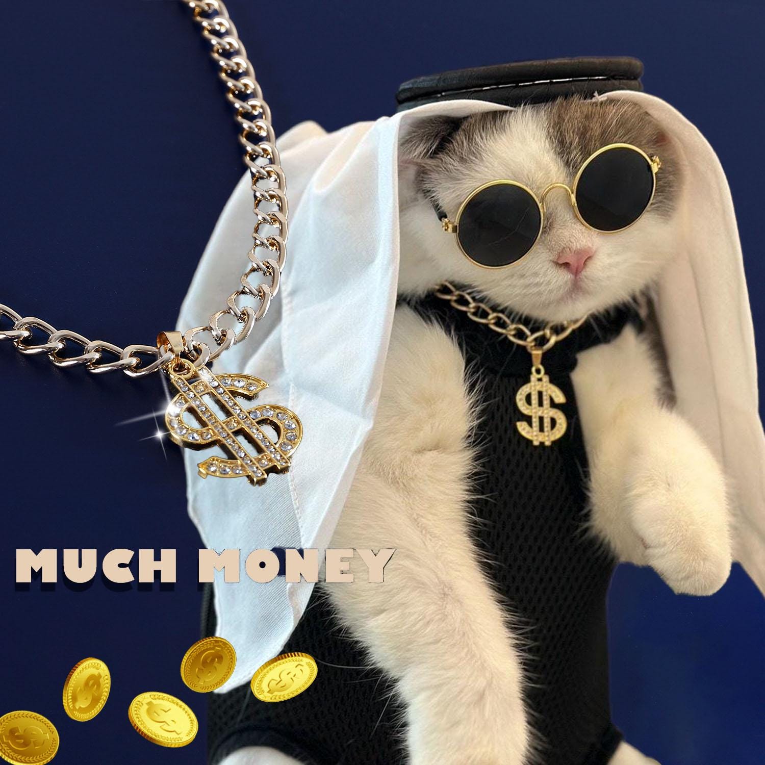 Goldfarbene Halskette Mit „PIMP“-Anhänger – Für Fancy Dress & Kostümpartys