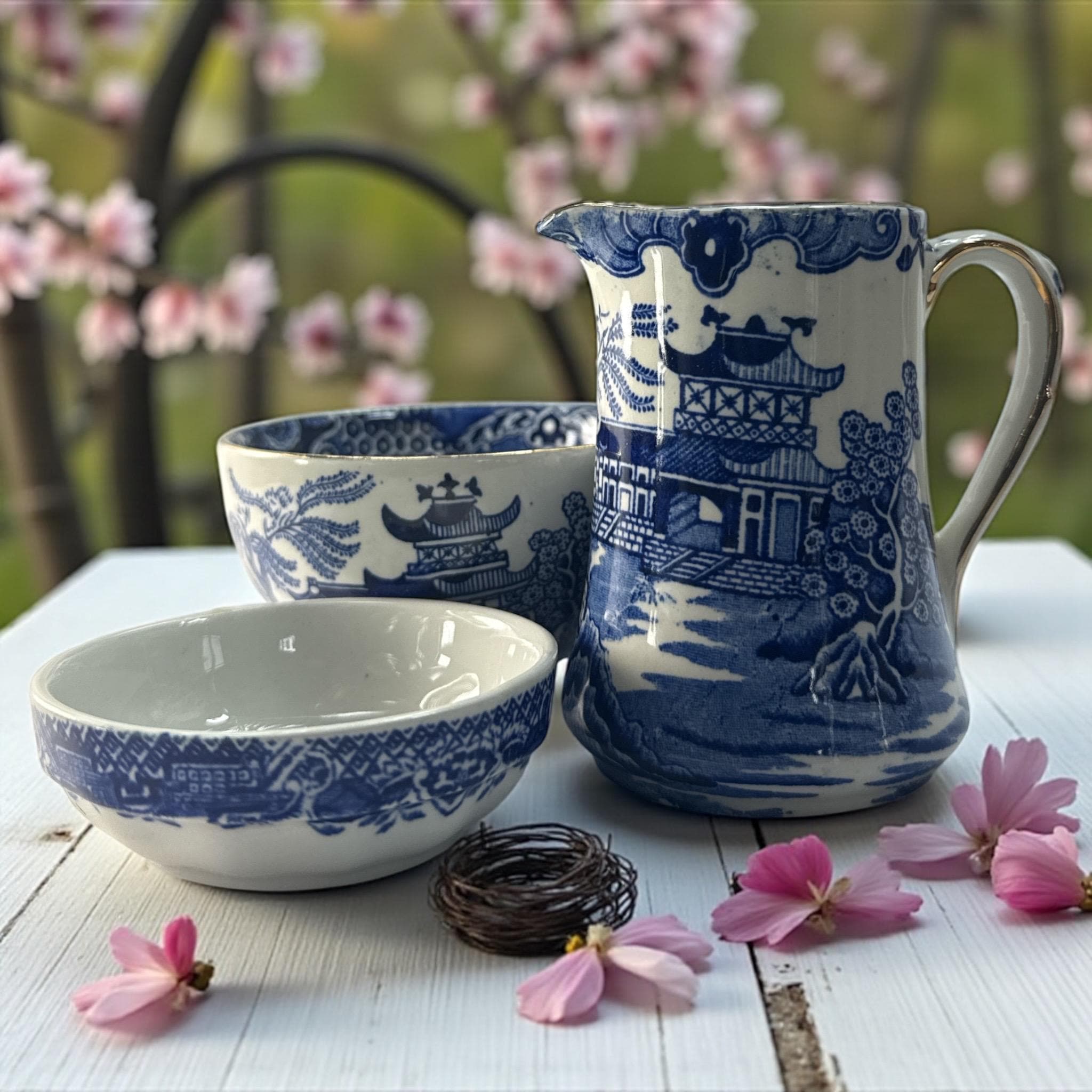 アウガルテン　Willow アウガルテン Willow 700 Year Old Willow/Kosbastau (2025) - All You