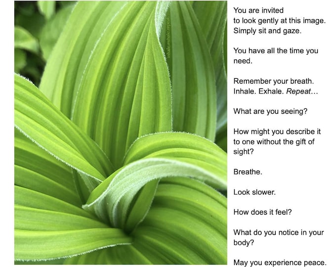 Photography as Meditation - A Printable Guide