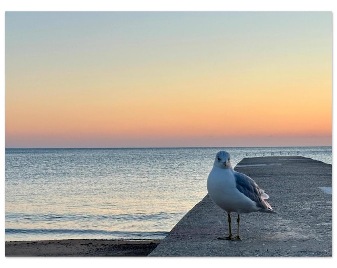 Sunrise Over Lake Michigan with Bird in Foreground Wall Art