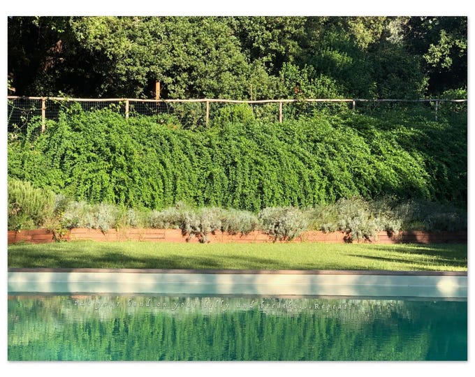 Tuscan Pool Print Invites You to Breathe
