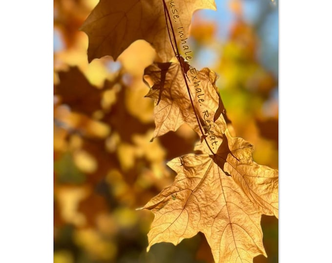 Fall Sun-Soaked Maple Leaf Print Invites You to Inhale and Exhale