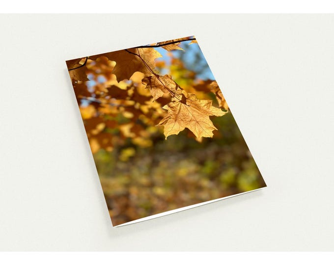 Fall Maple Leaf Greeting Cards: Personalized Autumn Note Cards (Pack of 10)