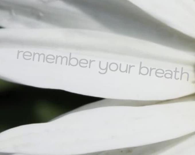 White Daisy Photo Beacons You To BREATHE