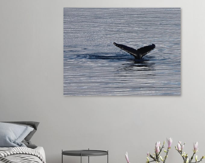 Majestic Whale's Tale Wall Art