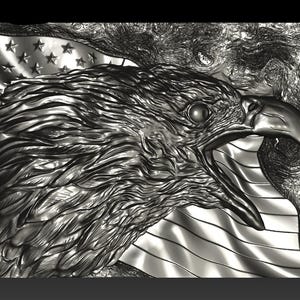 3D American Bald Eagle Flag Relief: CNC Laser Engraving Digital File