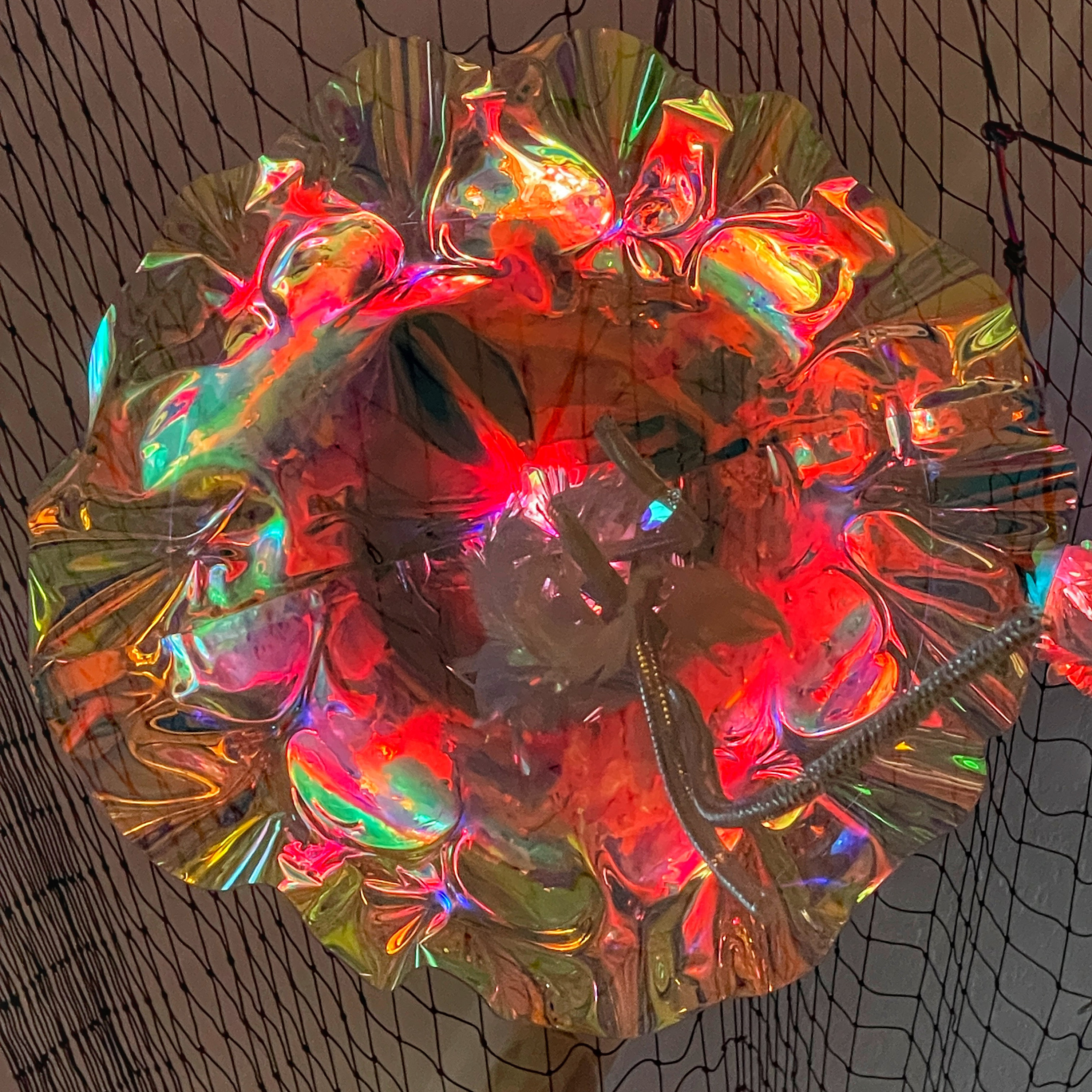 Iridescent Jellyfish Lamp With Animated Lights & Wifi Control Etsy