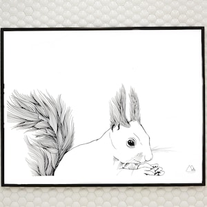 Red Squirrel art, Red Squirrel Gift, Squirrel Artwork, Black and White Line Drawing, Forrest Animal Print, Minimalism Art Poster, Wildlife