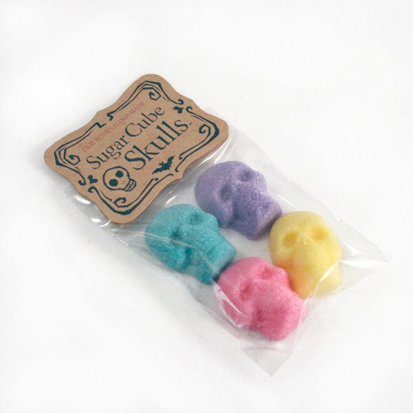 Day of The Dead, Skull Sugar Cubes, Sugar Skull Edible, Thinking of You, Best Friend Gifts Long Distance,
