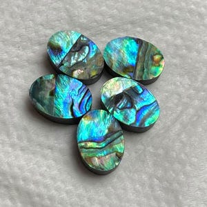 Può includere: Cinque cabochon ovali in conchiglia di abalone. I gusci mostrano colori iridescenti blu, verdi e oro, con motivi unici. I cabochon sono montati su una base scura, evidenziando la bellezza naturale. Ideale per la creazione di gioielli.