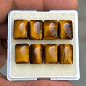 May include: Eight rectangular tiger eye gemstones in a white tray. The polished stones have a glossy finish with golden brown and dark brown bands. The gemstones are arranged in two rows of four.