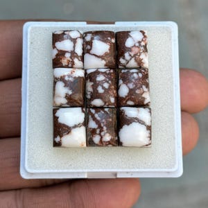 AAA+ Wild Horse Jasper Cabochon: Naturlig Jasper Rektangulär Ädelsten
