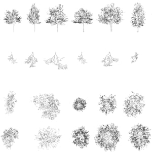 Bibliothek 30 Baumblöcke DWG | 2D Autocad Pflanzenrahmen | Illustration Architektur Vektor