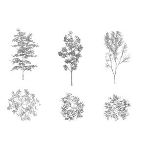 Puede incluir: Una colección de diez ilustraciones en escala de grises de árboles y arbustos. Las imágenes incluyen varios tipos de árboles, algunos con follaje detallado y otros con ramas desnudas. La disposición incluye vistas laterales y perspectivas cenitales.