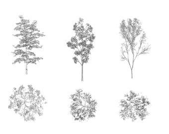 library 80 trees plants PNG | 2D PNG photoshop illustration architecture | high resolution elevation plan autocad CAD