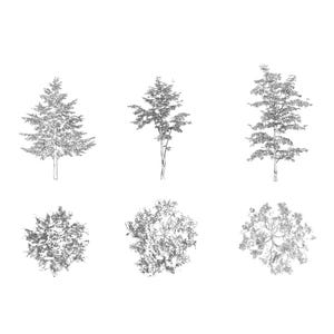 brush pack ABR for photoshop – brush, plants, trees, elevation & plan illustration architecture |  instant download