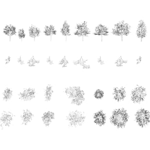 May include: A collection of detailed black and white tree illustrations. The image features various tree types, including full trees, branches, and top-down views of foliage. The drawings are arranged in rows, showcasing different shapes and sizes.