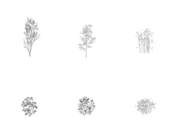 library 5 tree blocks DWG | 2D CAD autocad plants | illustration architecture vector