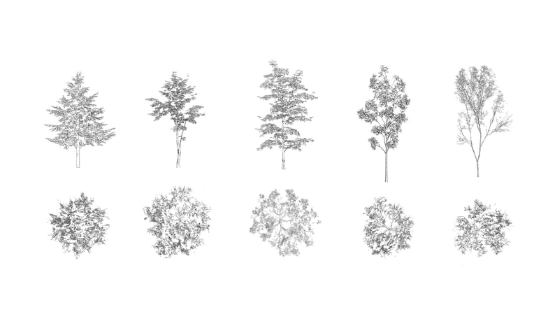 Library 75 Tree Blocks DWG | 2D CAD Autocad Plants | Illustration ...