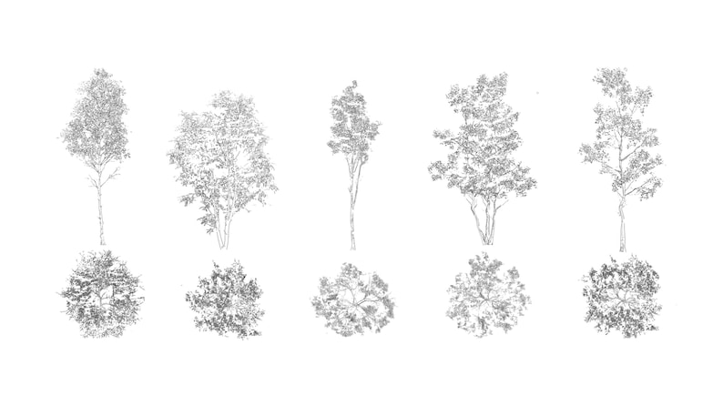 Library 75 Tree Blocks DWG | 2D CAD Autocad Plants | Illustration ...