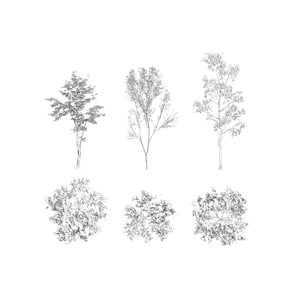 High-quality architectural tree library for AutoCAD and Photoshop. Professional DWG blocks featuring detailed tree symbols in both plan and elevation views. Ideal for landscape architecture, site plans, and realistic architectural renderings. Compatible with CAD software and Adobe Creative Cloud. Premium tree collection by cadlibrary download on etsy link.