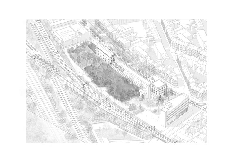 Library 75 Tree Blocks DWG | 2D CAD Autocad Plants | Illustration ...