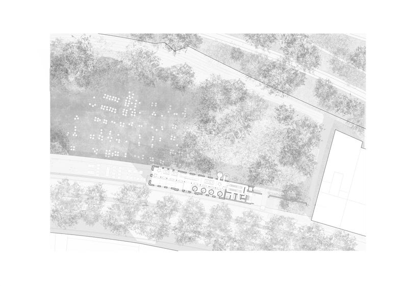 Library 75 Tree Blocks DWG | 2D CAD Autocad Plants | Illustration ...