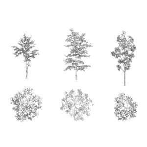 High-quality architectural tree library for AutoCAD and Photoshop. Professional DWG blocks featuring detailed tree symbols in both plan and elevation views. Ideal for landscape architecture, site plans, and realistic architectural renderings. Compatible with CAD software and Adobe Creative Cloud. Premium tree collection by cadlibrary download on etsy link.