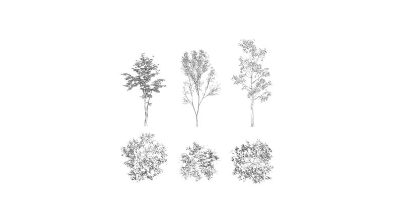 Library 75 Tree Blocks DWG | 2D CAD Autocad Plants | Illustration ...