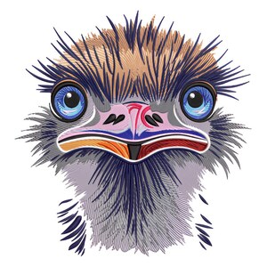 Funny Ostrich Face Embroidery Design | Ostrich Embroidery Pattern | Embroidery for Embroidery Machine | Digital Embroidery File