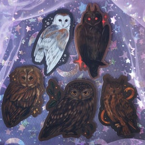 Magic Owls | Glossy Stickers