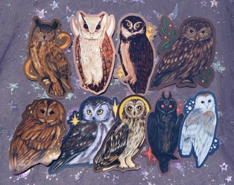 Gufi magici / Adesivi lucidi