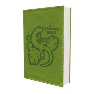 NIRV 2009 Adventure Bible for Early Readers Green Graphics Leathersoft