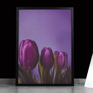 Dark Purple Tulips - Printable Wall Art Floral Print Wall Art Botanical Wall Decor Vintage Wall Paintings Home Decor Digital Downloads
