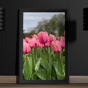 Dark Pink Tulips - Printable Wall Art Floral Print Wall Art Botanical Wall Decor Vintage Wall Paintings Home Decor Digital Downloads