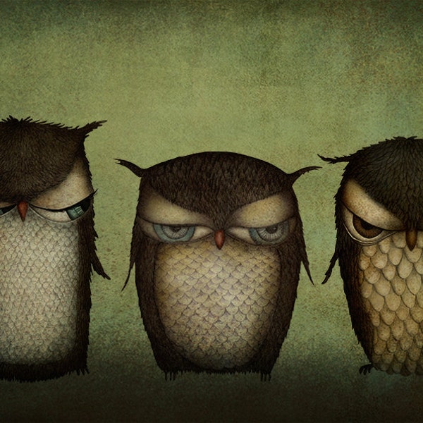 Three grumpy owls - Art print (3 different sizes)