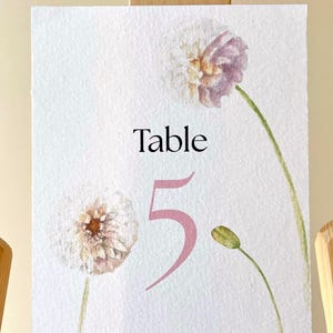 Números de mesa con temática de Rosalía: números de mesa para bodas, números de mesa ilustrados, dibujo en acuarela, números de mesa florales