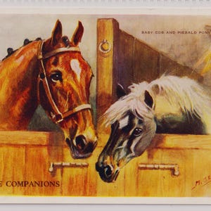Carte postale d'artiste vintage, STABLE COMPANIONS par Mabel GEAR, Baby Cob et Piebald Pony, Saint-Valentin, vers 1950