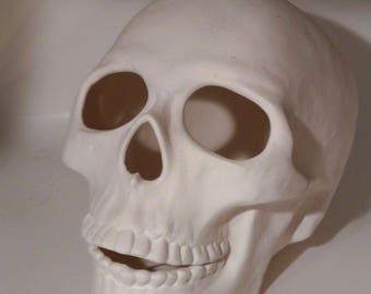 Ceramic bisque  ( Lg  Life Size Skull  ) U-Paint