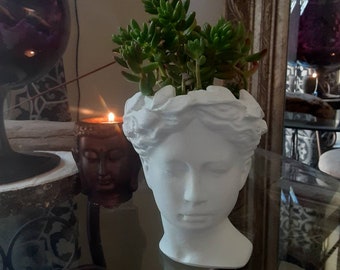 Goddess Venus Planter / Female Statue Planter / Succulent Planter / Head Planter / Face Pot / Face Planter / Desk Planter