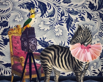 Picture day- Digital Art, Zebra, parrots, camera, vintage, animal portrait