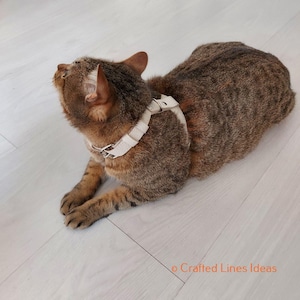 May include: A brown tabby cat wearing a cream-colored leather harness with a silver-colored buckle. The cat is lying down on a light-colored wooden floor, looking upwards. The harness appears to be well-fitted and comfortable.