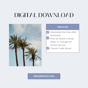 Puede incluir: Impresi&oacute;n art&iacute;stica de descarga digital con tres palmeras sobre un cielo azul. Se incluyen instrucciones sobre c&oacute;mo utilizar la descarga digital. Tambi&eacute;n se muestra la direcci&oacute;n del sitio web.